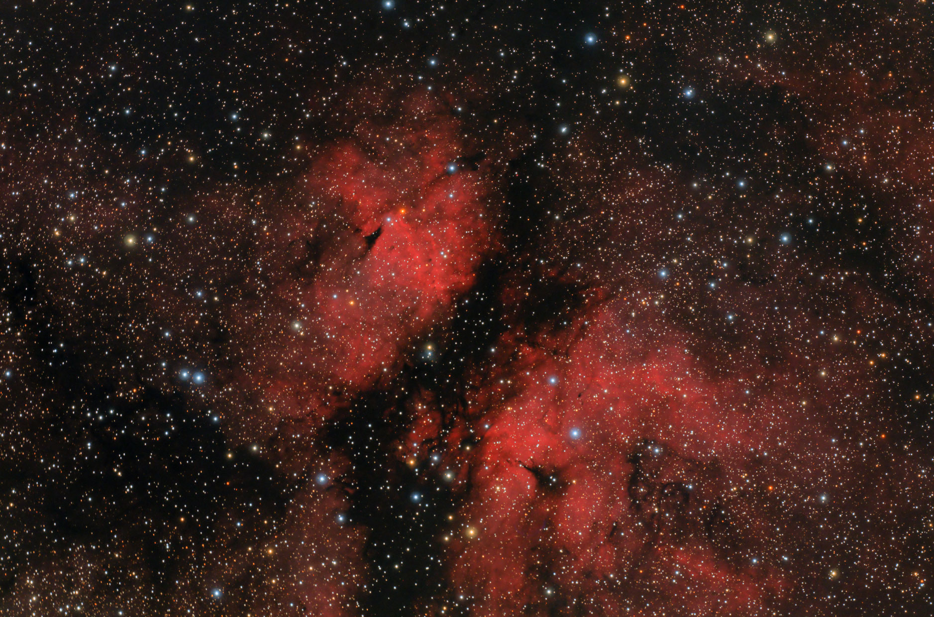 IC1318_int_spcc_mlt_2arcsinh.jpg