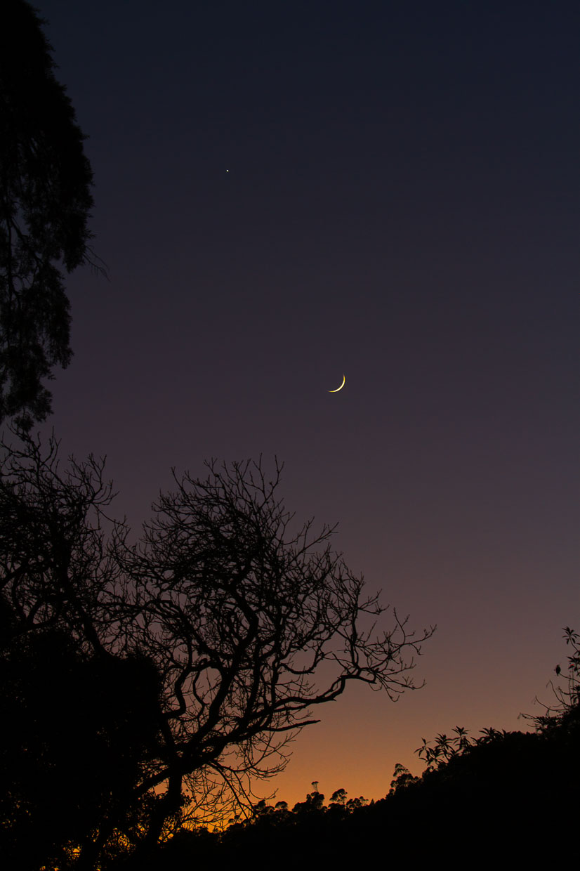 JungerMond_Venus_denoise-clear.jpg