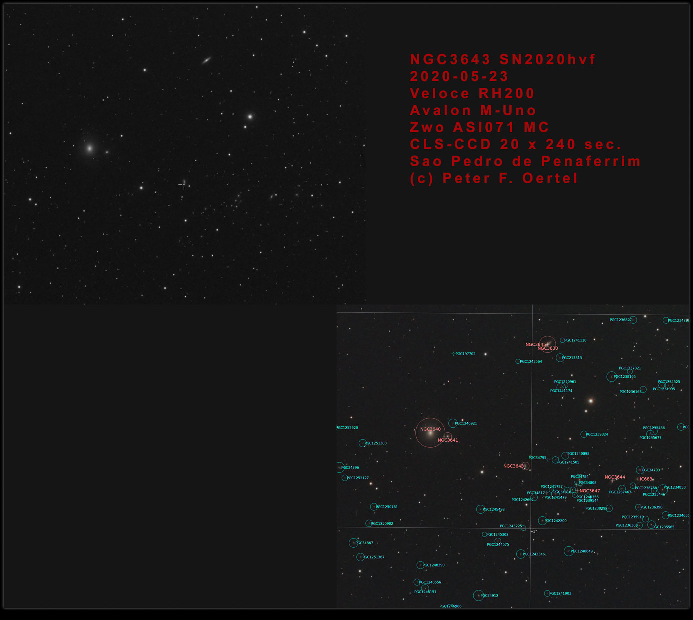 NGC3643_SN2020hvf_annotated.jpg