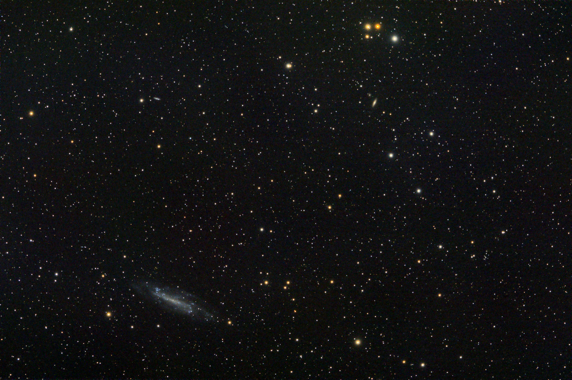 NGC4236_int_lf_mlt_2arcsinh_ct_wcs.jpg