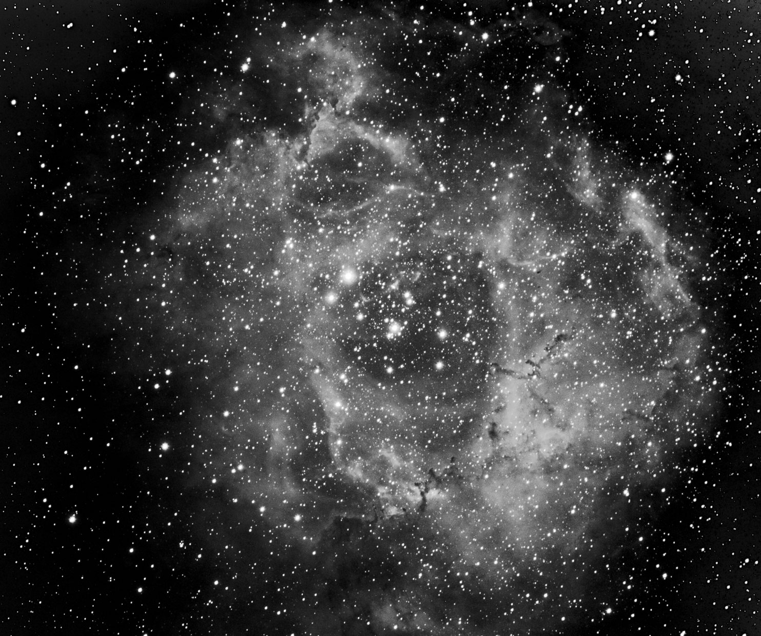 Rosette_V4.jpg
