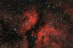 IC1318_int_spcc_mlt_2arcsinh.jpg