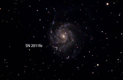 M101_SN2011fe_SF.jpg