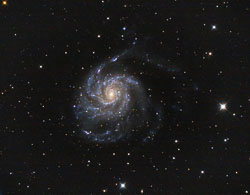 M101_int_ABE_PCC_DC_MLTM_HT_CS_DeC_TVG_APF-R.jpg