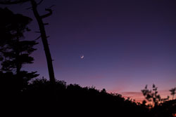 Mond_Merkur_Venus_240520-denoise-clear.jpg