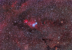 NGC2264_APF-R.jpg