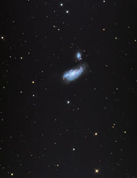 NGC4490_3360s_spcc_bxt_2mas_ct_SqPr.jpg