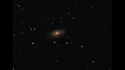 NGC_3953.jpg