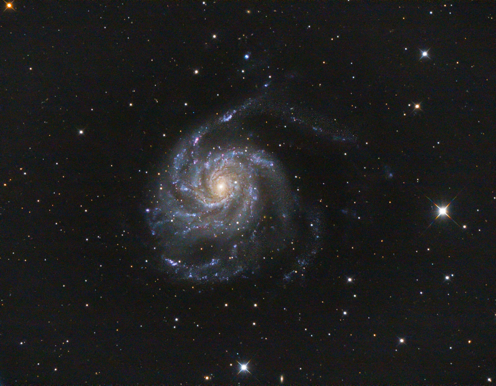 M101_int_ABE_PCC_DC_MLTM_HT_CS_DeC_TVG_APF-R.jpg