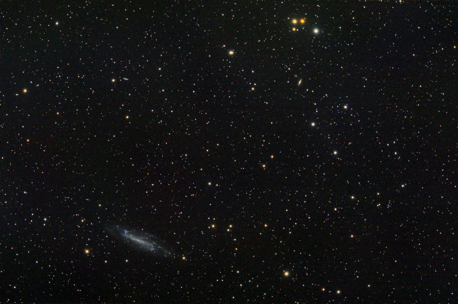 NGC4236_int_lf_mlt_2arcsinh_ct_wcs.jpg