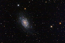 NGC2403_APF-R.jpg