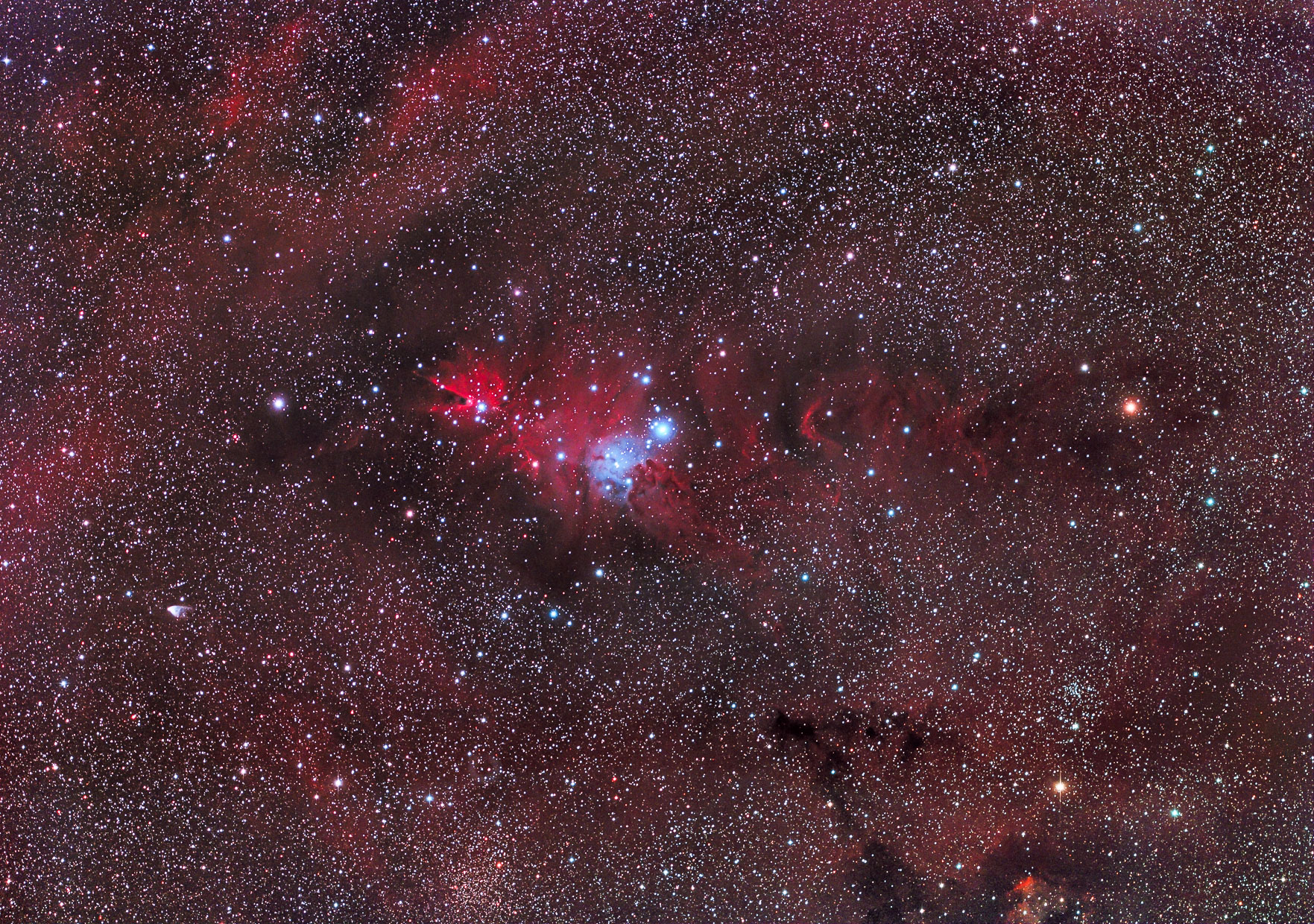 NGC2264_APF-R.jpg