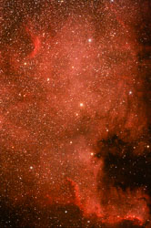NGC7000_IP_FM_processed.jpg