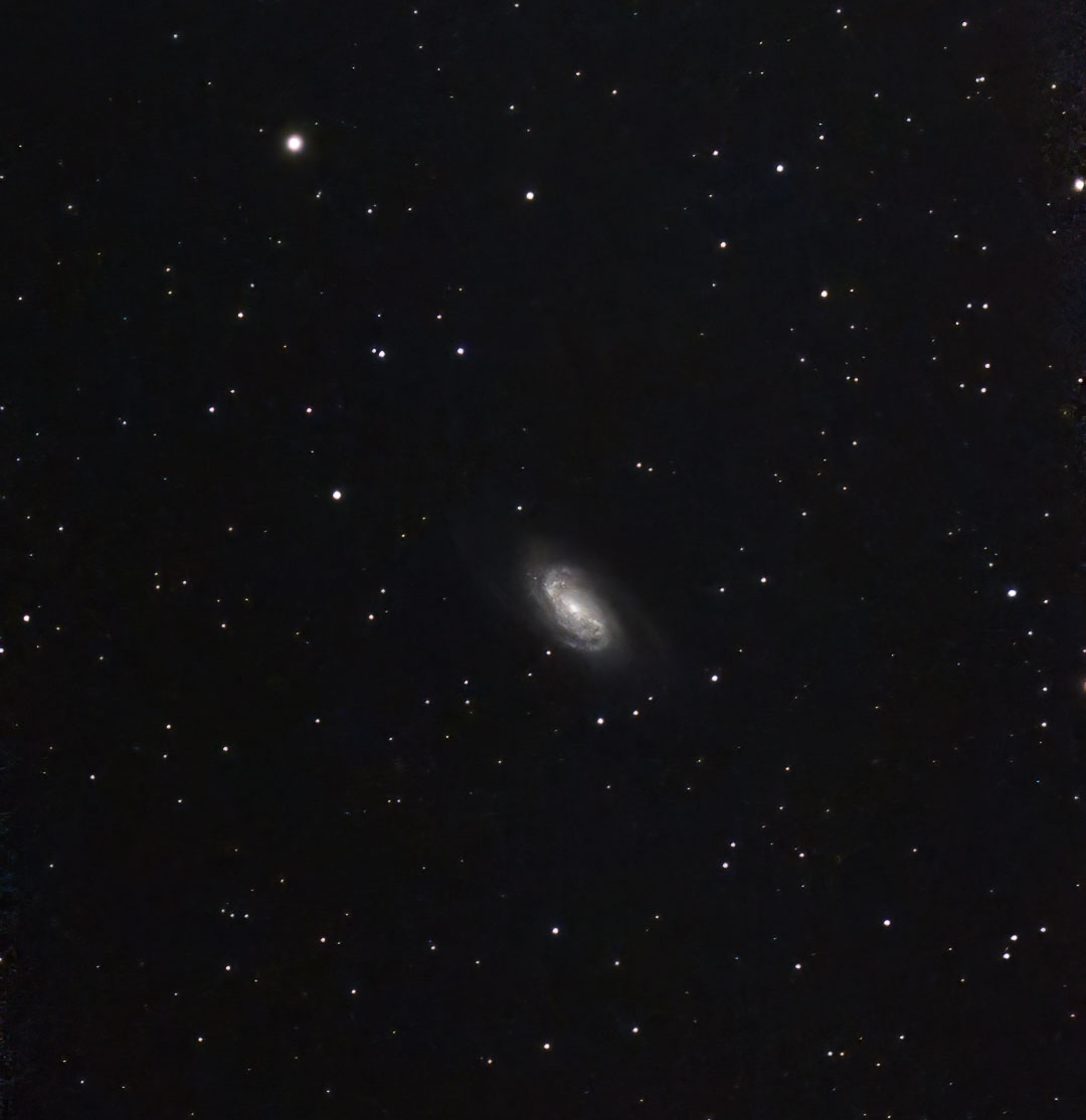 NGC-2903_980s_IRCUT_spcc_mlt_ms_arcsinh.jpg