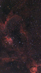 IC1805_sint411_spcc_bxt_mas_ct_SRPM2.jpg