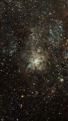 NGC-2070_int_lf_mlt_ms_arcsinh_Bxt.jpg