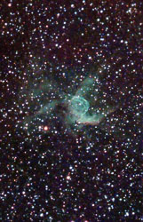 NGC2359_drint_spcc_mlt_ms_arcsinh_Bxt_ct.jpg