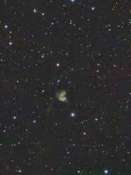 NGC_4039_64x10sec_T24degC_2026-04-08_spcc_GraXpert_mas_bxt.jpg