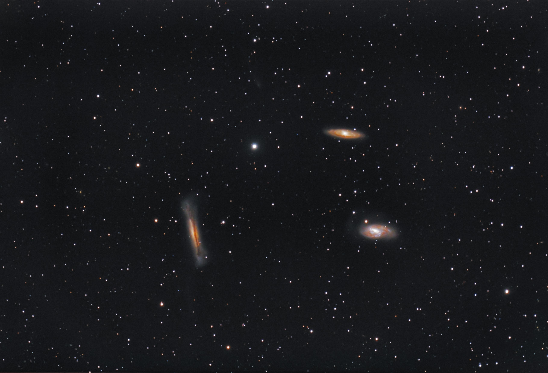 CFEA-2_ArcSinH_crop_GXT_3xCI.jpg