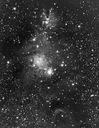 NGC2264_5_12_GXT_HDR.jpg