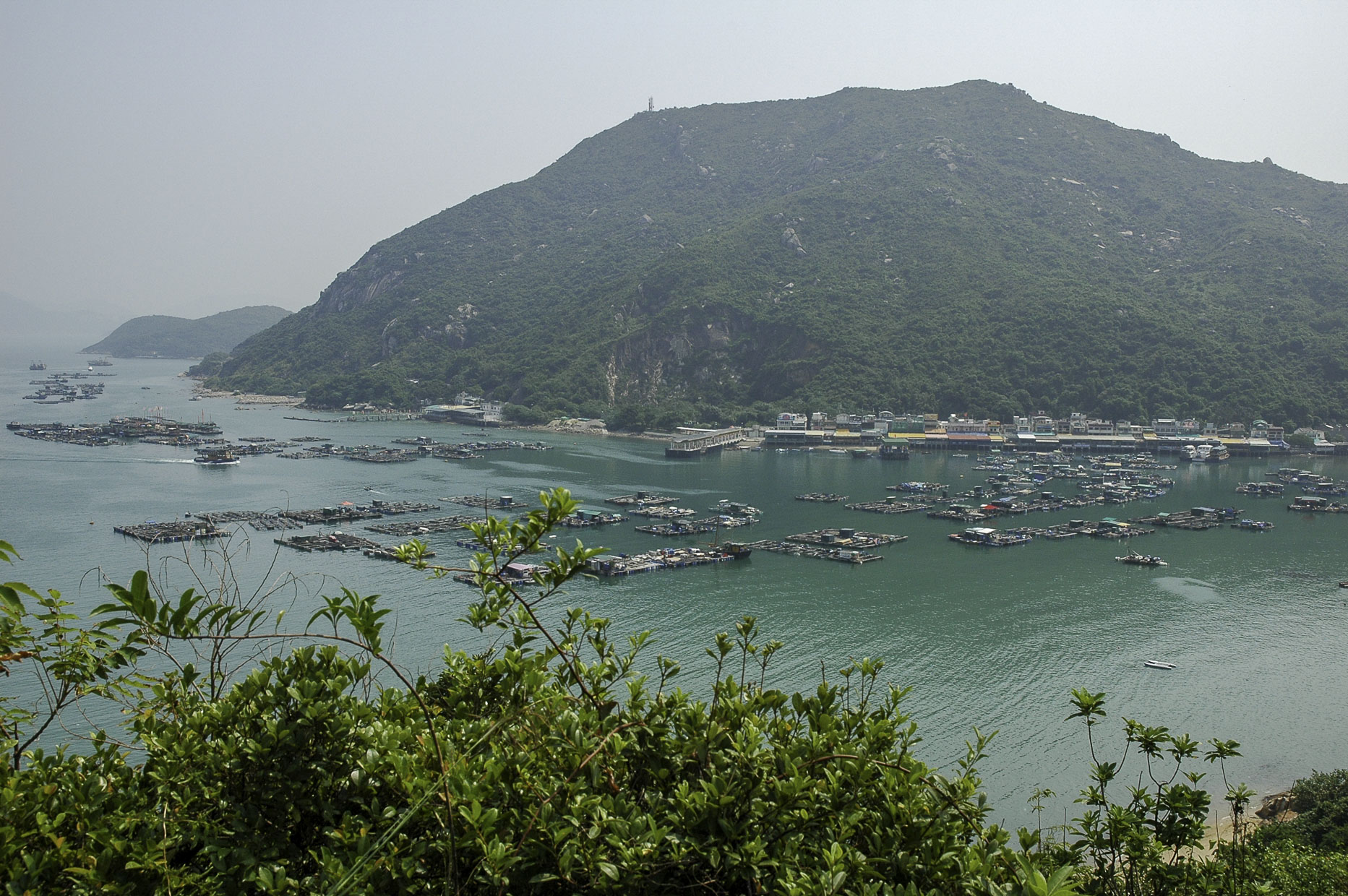 Dsc_0923.jpg