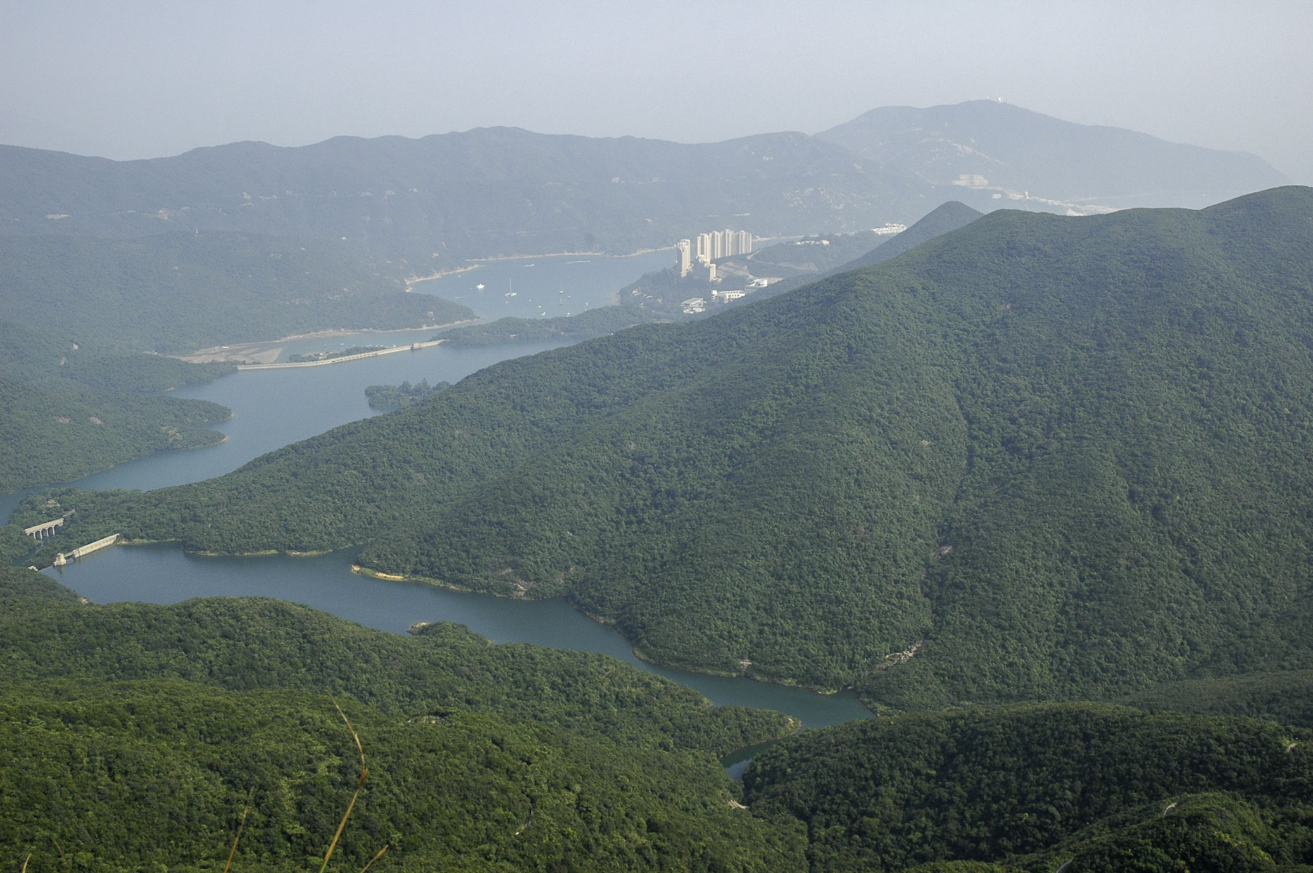 Dsc_0956.jpg