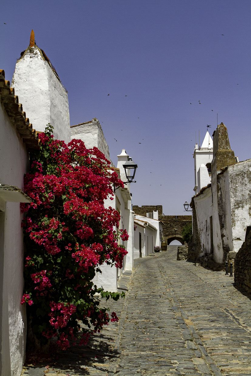 _MG_4835.jpg