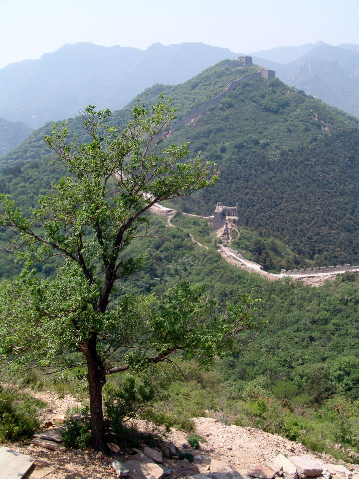 DSC00255china_0504.jpg