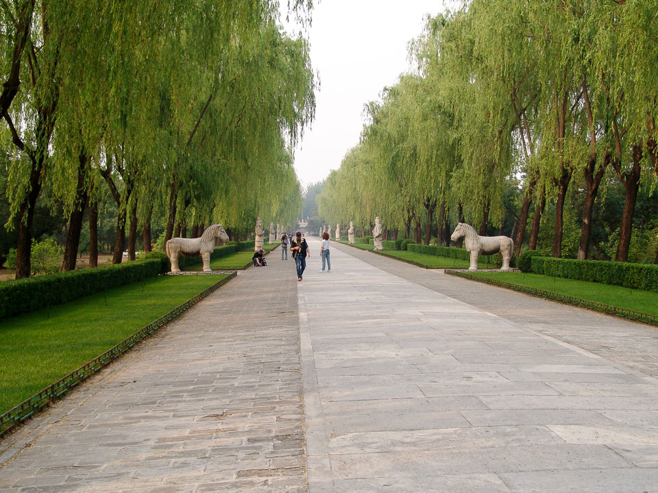 DSC00278china_0504.jpg