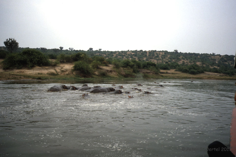 MOYA26.jpg