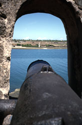 FORTJ03.jpg