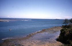 FORTJ04.jpg