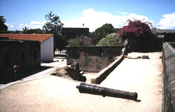 FORTJ08.jpg