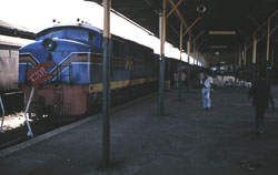 NAIROB01.jpg